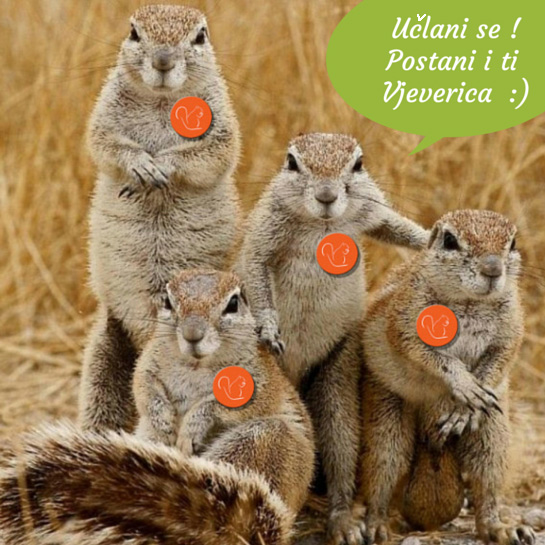 Postani-i-ti-Vjeverica-