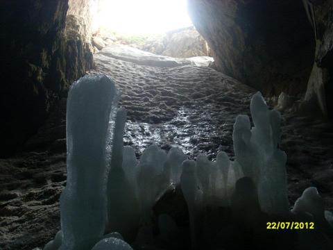 527230_324720167617477_2073313787_n