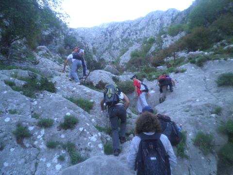 556139_3831545958040_1559624477_3179074_1831776731_n