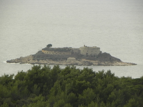 Mamula